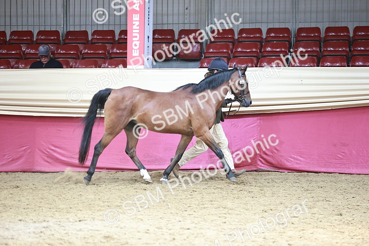 SBM_04697 - Class 7R - Regional IH Diamond