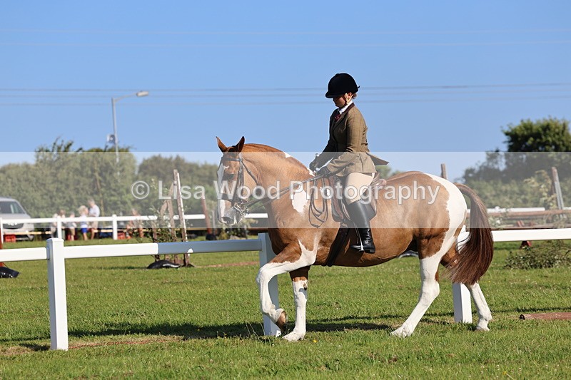 IMG_1428 - Class 29:  Ridden Native/Trad Coloured Horse