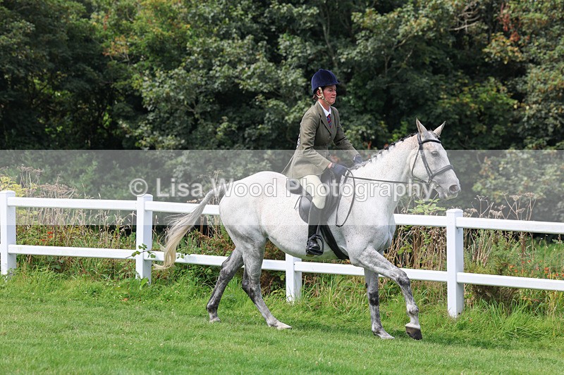 3E7A8653 - Class 5: Working Show Horse