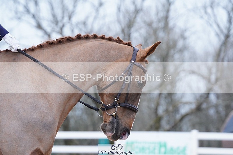 250214-102158-00120 - 224-Jill.McFarland-Adoon.Punchbowl