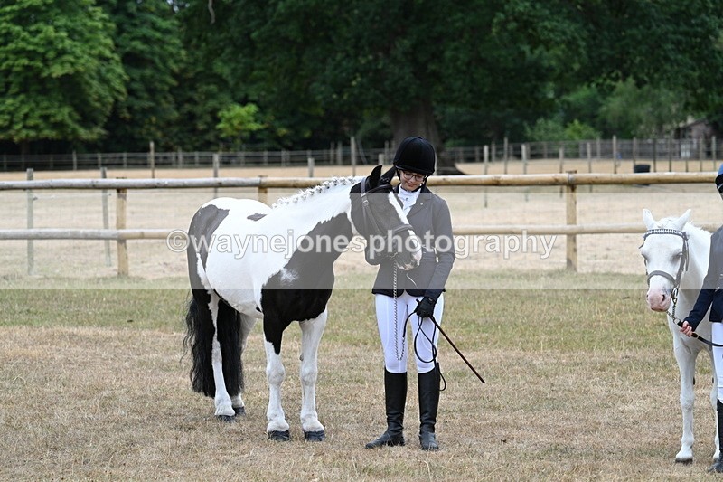 WJ7_8299 - Class 4 Prettiest Mare up to 14.2hh