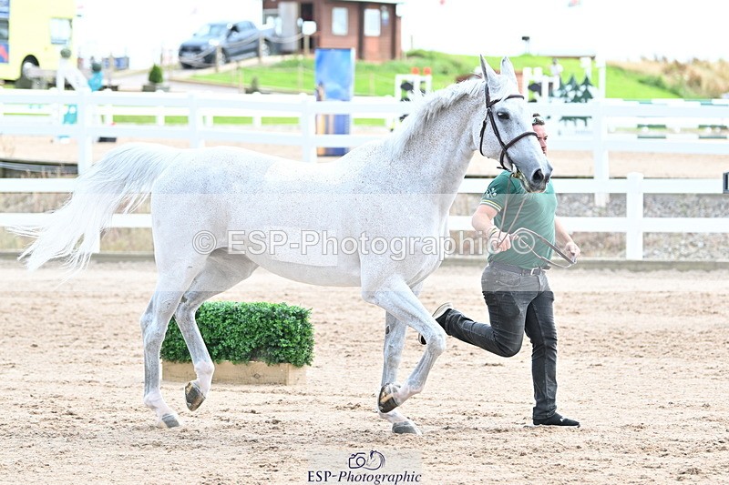 240717A-144056-02194 - Trot Up 2pm to 3pm - This folder is not in time order