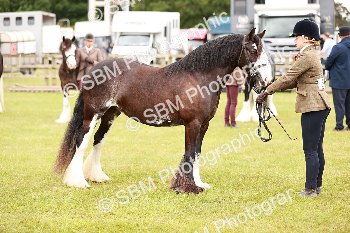 SBM_04671 - Class 5-8 - BSPA In hand