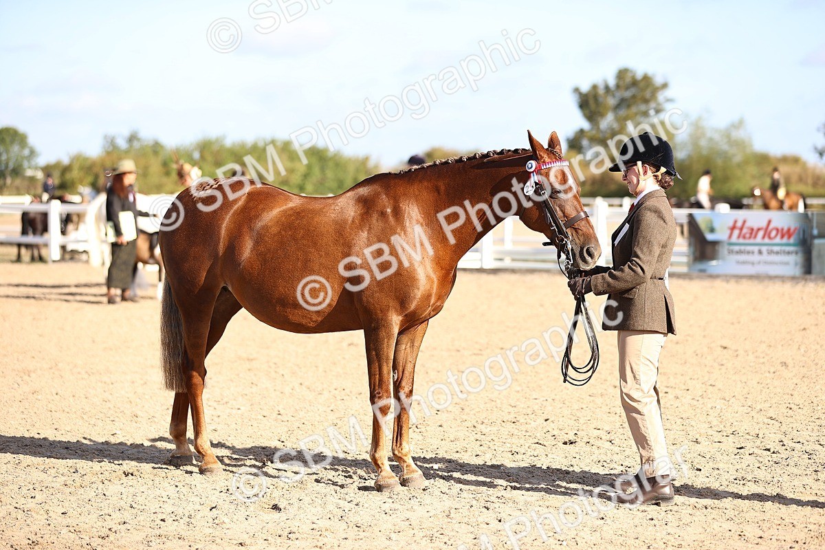SBM_08506 - Class 402 - IH Veteran Pony