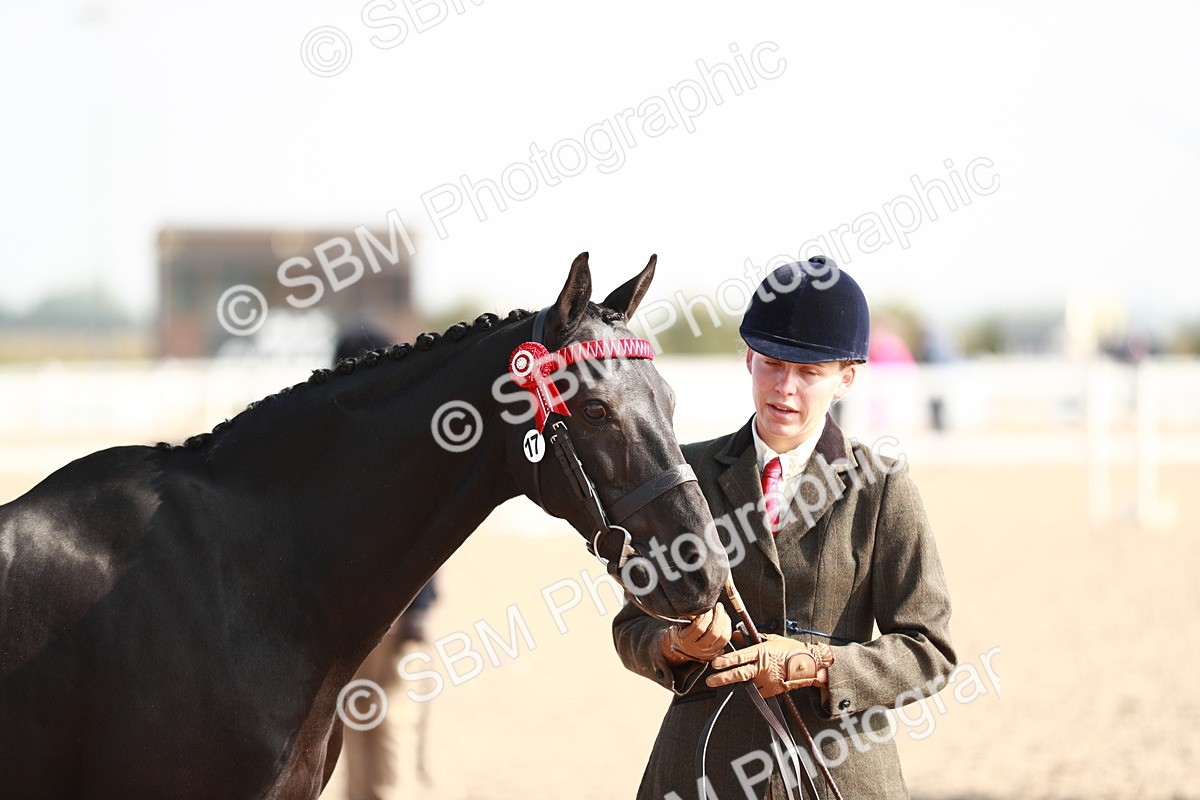 SBM_11078 - Class 205 IH Show Pony/ Show Hunter Pony