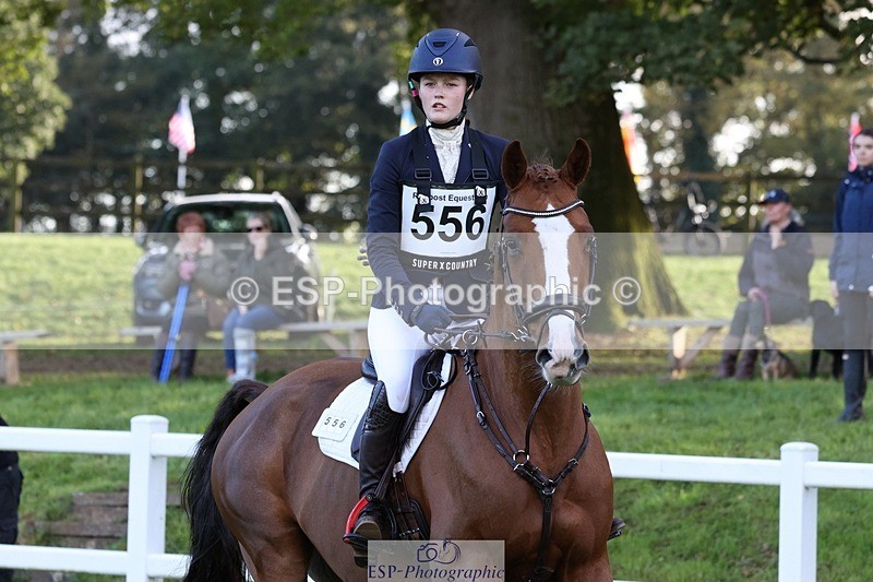 231022-160333-30083 - 556-SHANNONDALE.MOCHA-Lucy.Davies-TrotUp+SJ