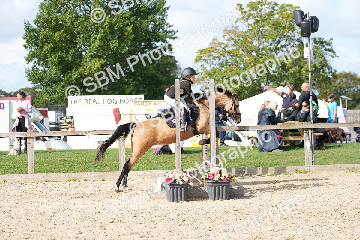 SBM_17784 - J58 - Clear Round 50cm