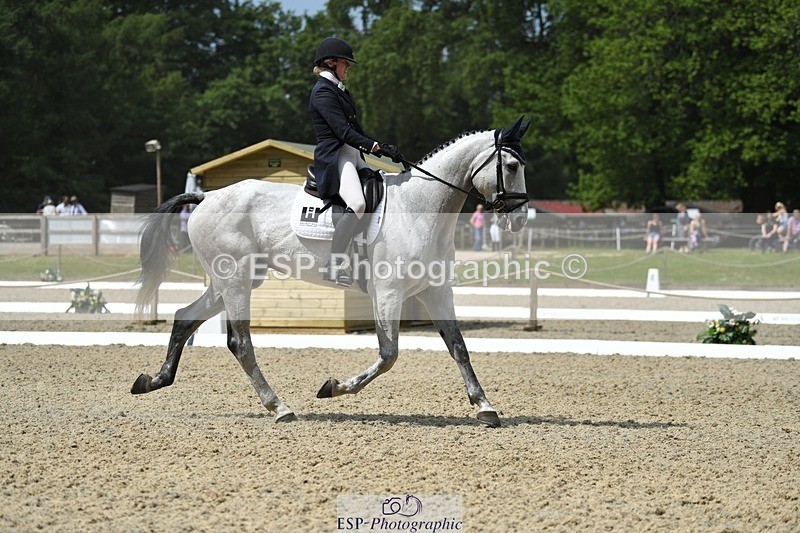 230525-113649-01864 - 102-BANDITO_VAN_POLDERZICHT-Grace_Taylor-WEDTrotUp+DR