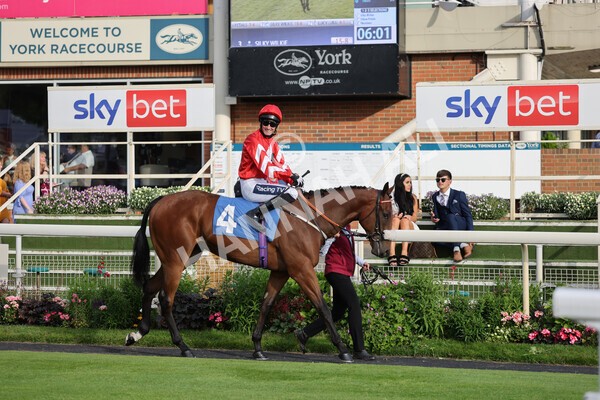 yr23072021r3-13 - Race 3 7.00pm The JKH 80th Birthday Celebration EBF Novice Median Auction Stakes (Plus 10 Race)