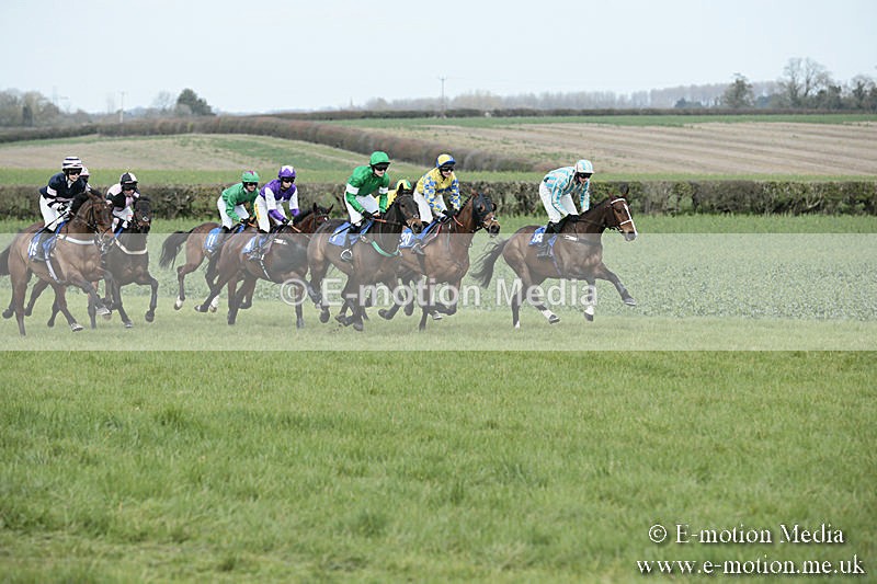 PtP 230319 142 - VWH Hunt Siddington Point-to-Point Racing 23/03/19