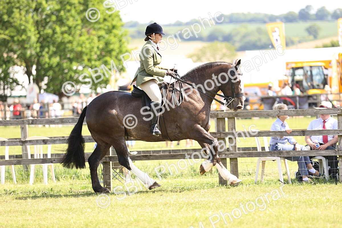 SBM_13711 - Class 77 - LIHS BSHA Rising Star Cobs