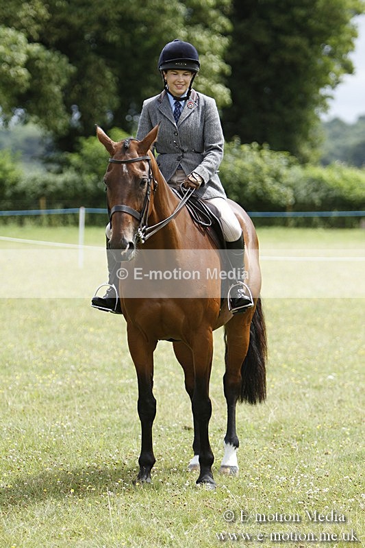 BVR160717-1815 - Ring 3 BVRC Show 16/07/17