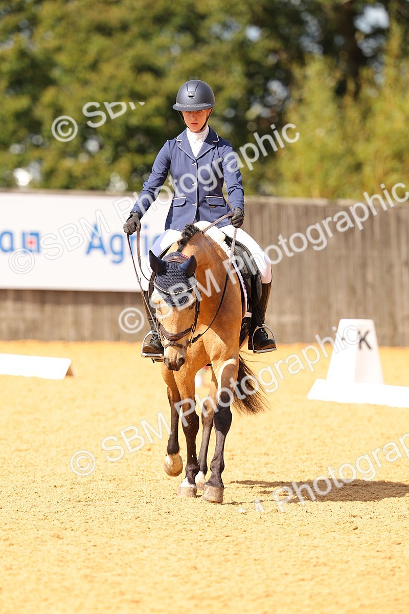 SBM_44136 - D22 - Junior Championship - Intro B