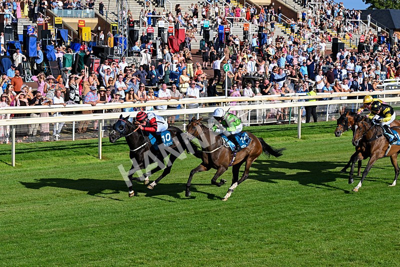 240726-Race 2-Vaguely Royal-0230 - Race 2 18.05pm Elevator Company Handicap