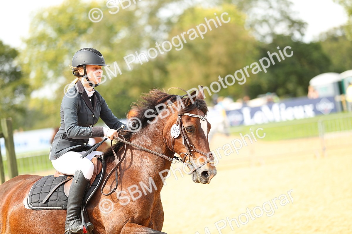 SBM_67175 - J17 - Junior Pony 80cm Championship