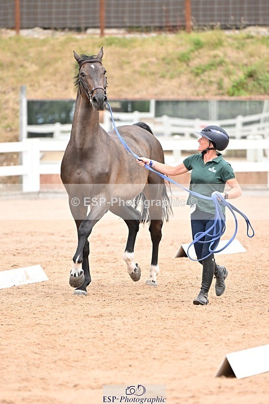 250716-143931-01265 - Trot Up 2.30 to 3.30