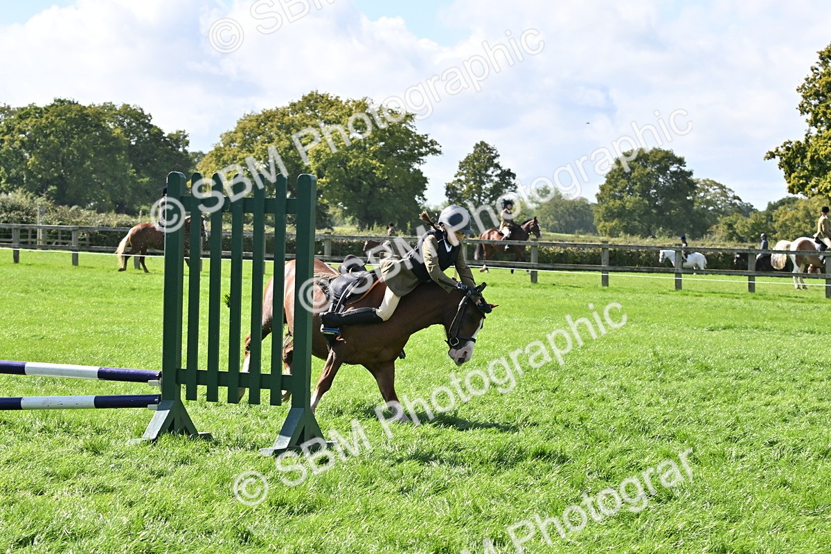 SBM_44533 - S13 - Pony Club Pony