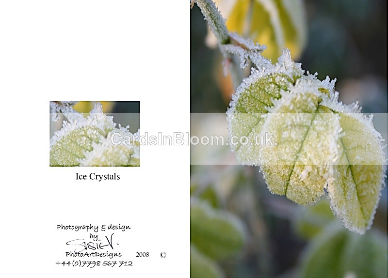 Winter 4. Ice crystals - Winter