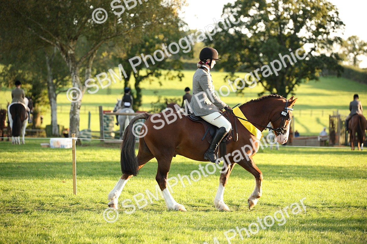 SBM_57044 - Veteran Supreme Championship