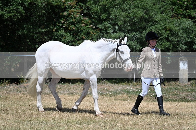 WJ7_2161 - Class 5 Most Handsome Gelding (up to 14.2hh) in hand