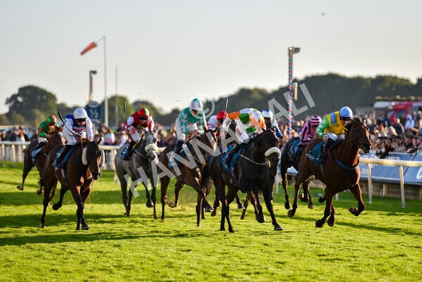 yr08102022r7-37 - Race 7 5.00pm The Coral Gets You Closer To The Action Stakes