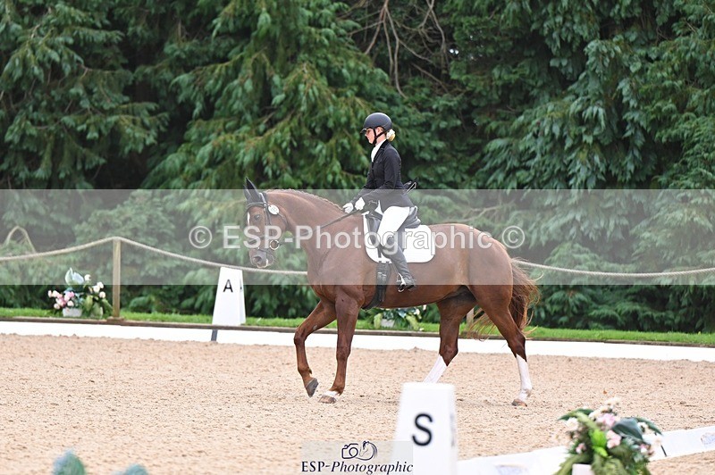 240809-121903-00738 - 185-Daisy.Hedges-Felicia.v