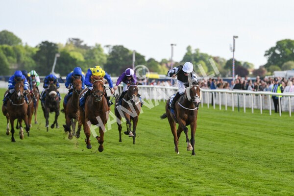 yr21052022r6-17 - Race 6: 4:42pm Yorkshire Regiment Stakes