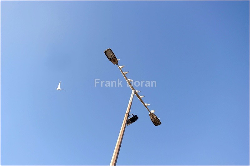 SOUTHEND ON SEA - Frank Doran