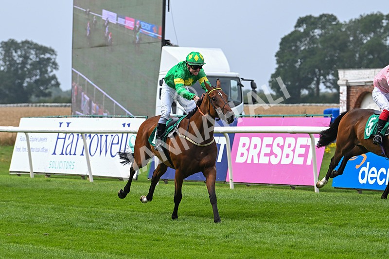 250725-Graham Lee IJF Stable Staff Stakes-E-3860 - The Graham Lee IJF Fund Stable Staff Stakes