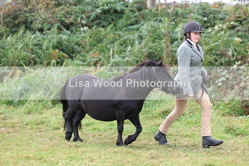 3E7A4600 - Class 16: Best Grass Kept