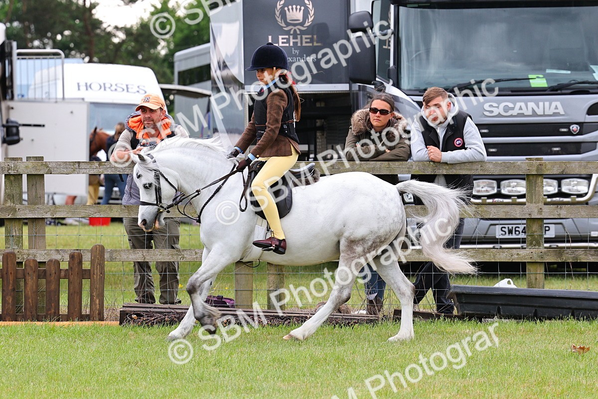 SBM_08706 - Class 42-43 - LIHS BSPS Heritage Working Sports Pony
