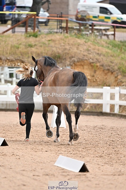 250716-145314-01474 - Trot Up 2.30 to 3.30