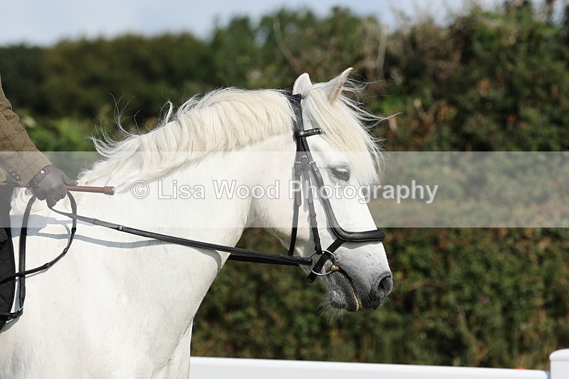 JPP_0623 - Class 16: Cornish Combination Young Rider