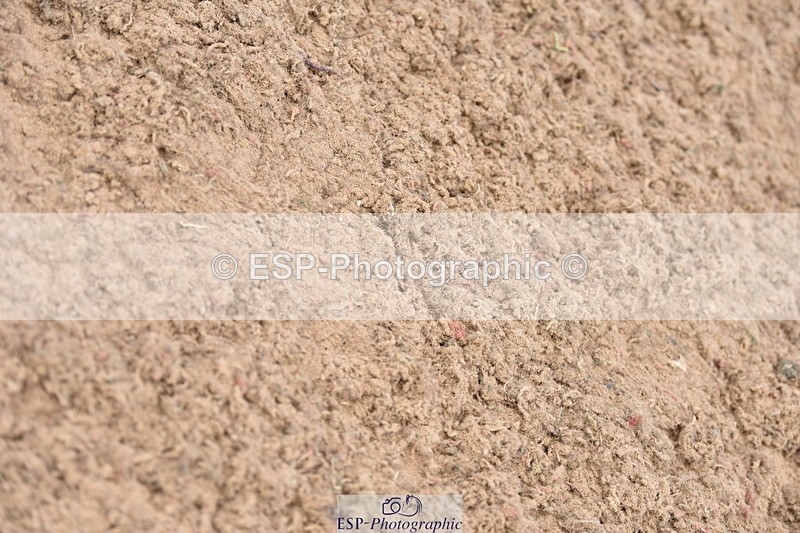 230810A-133618-01183 - Cls 10 6 Year Old Championship