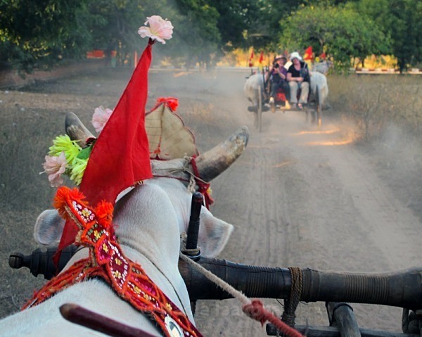 Burma 12 cc - The Burmese Adventure - monks, fishermen and more monks