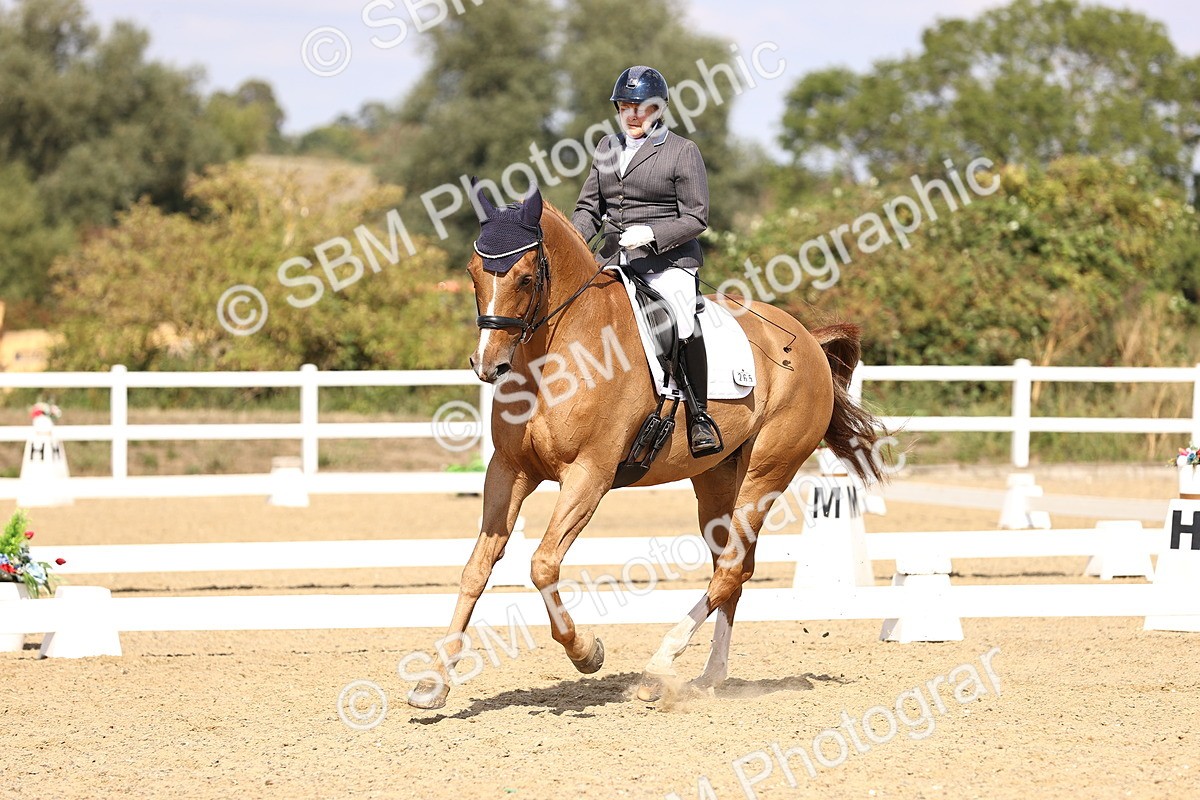 SBM_015093 - Class 6 - Elementary 5