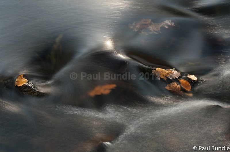 IMGP8271 - Streams, Rocks