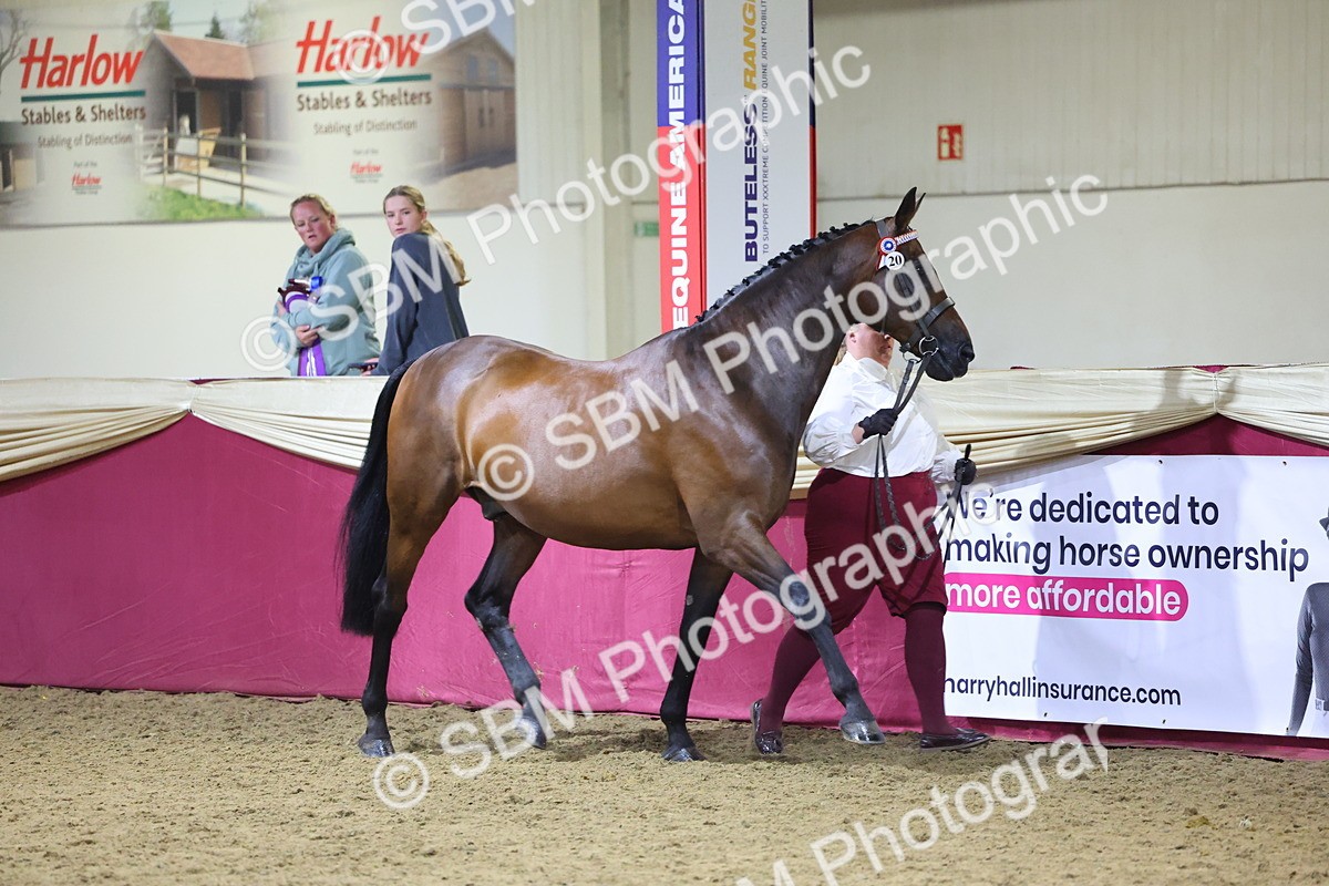 0B8A4770 - Class T Champion of Champions