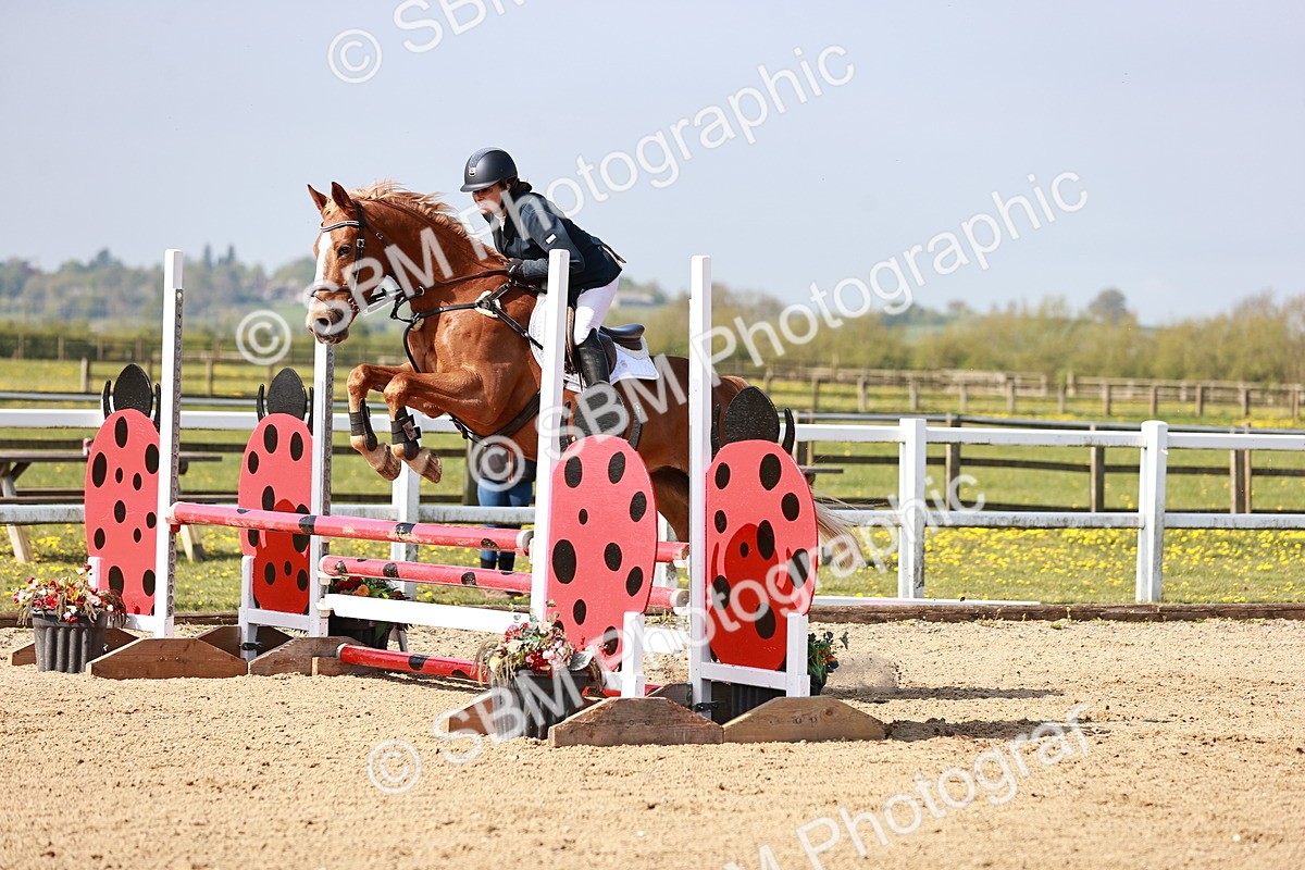  - Class 21 - Senior British Novice - 90cm