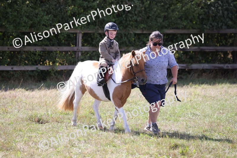 20260906-2807 - Class 25 - Absolute Beginners Pony