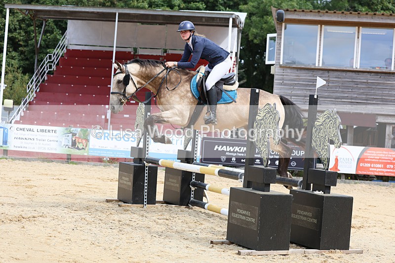 3E7A3313 - Class 4: Senior British Novice/90cm open
