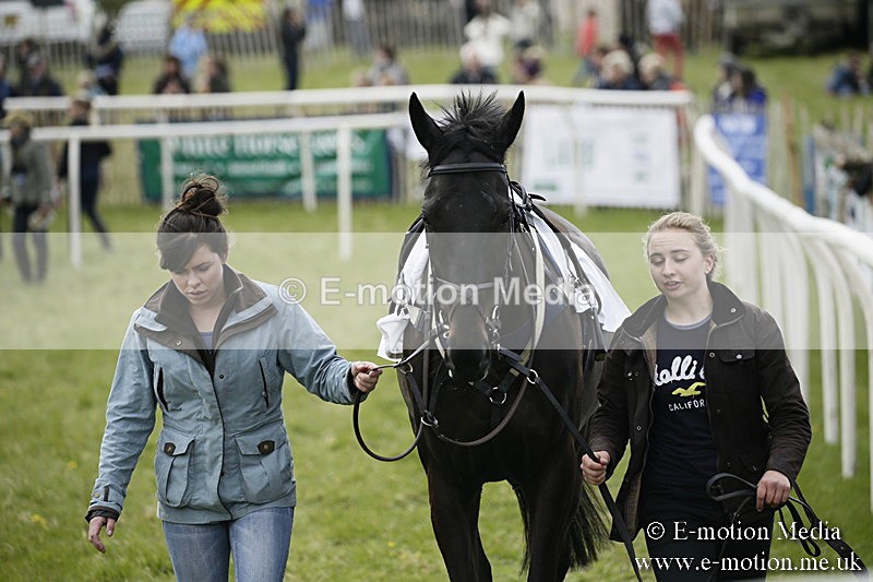 PtP 170417 220 - Old Berks Point-to-Point Lockinge 17/04/17