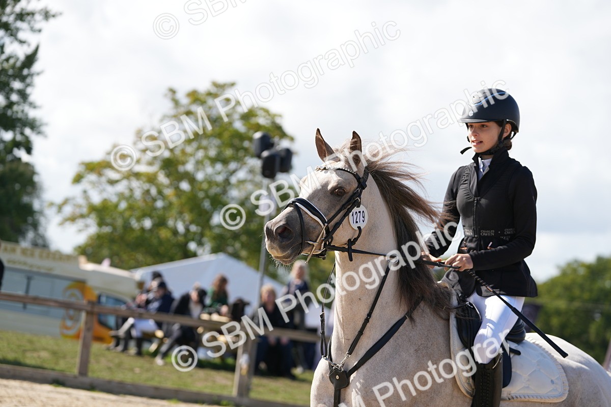 SBM_46632 - J7 - Junior Pony 60cm Championship