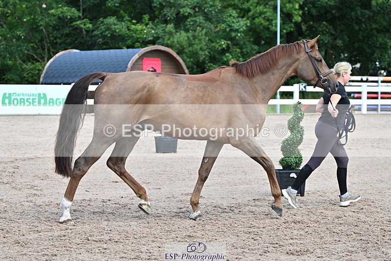 240718A-105253-01285 - Trot Up 12pm to 1pm