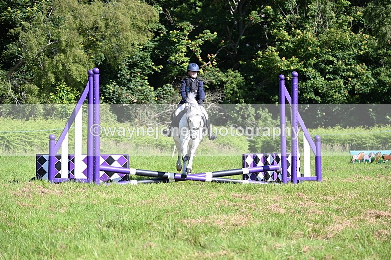 WJ6_3690 - Class 1 Tiny Cross Poles