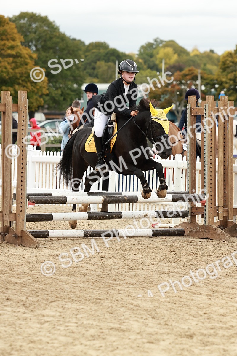 SBM_67117 - J13 - Junior Pony 60cm Championship