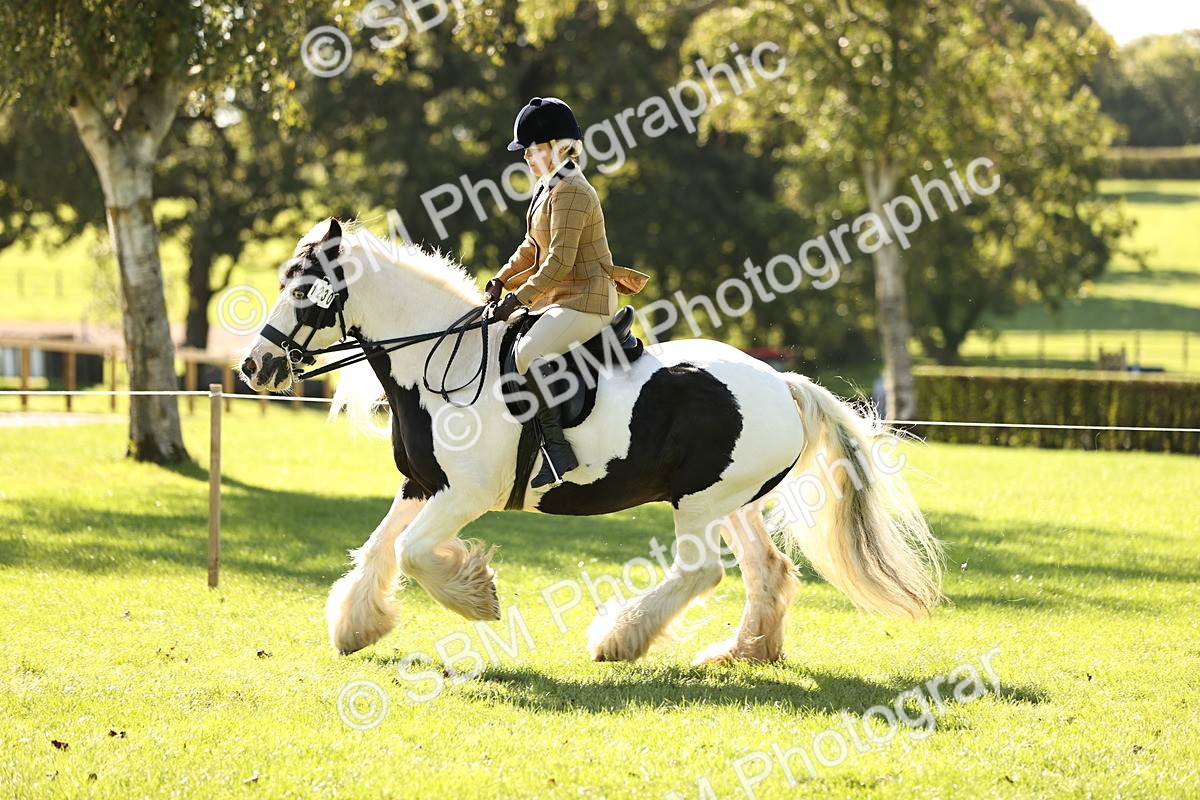 SBM_19146 - S3 - TSR Ridden Pony Showing