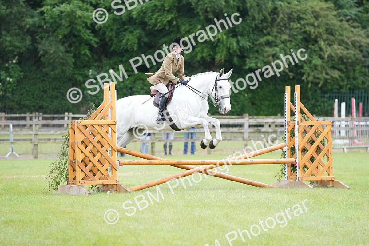 SBM_12520 - Class 97-98 - LIHS BSHA Rising Star Working Show Horse Hunter
