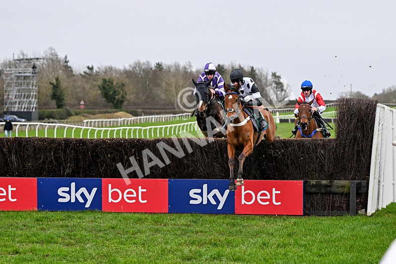 281225-Race 3-Supreme George-0347 - Race 3