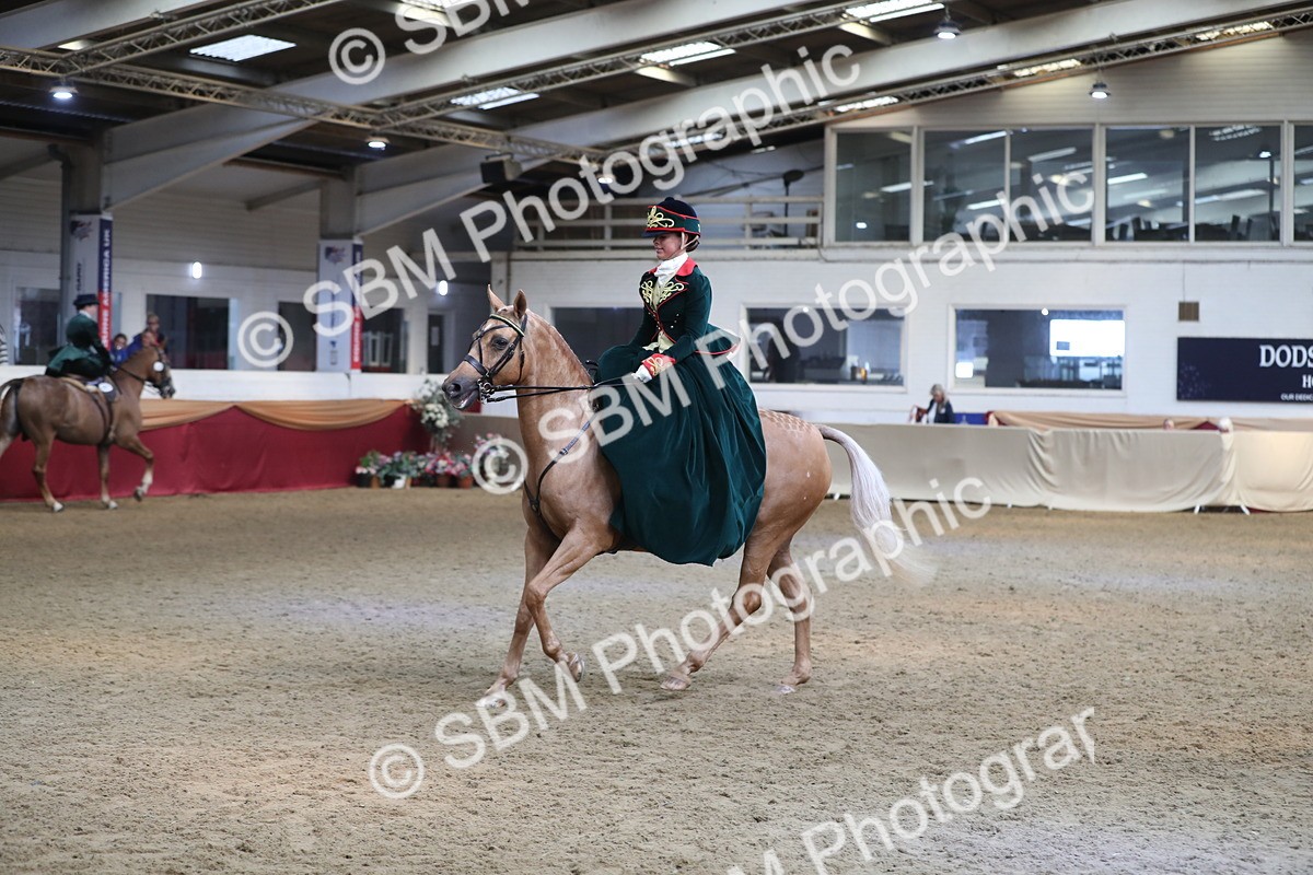 SBM_11571 - Class 105 Ridden Costume- Side Saddle